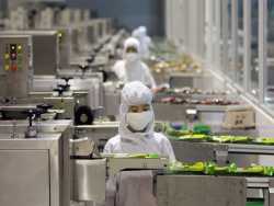 Gıda Sanayi Epoksi Zemin Kaplama Hizmeti